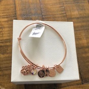 Alex and Ani Bracelet
